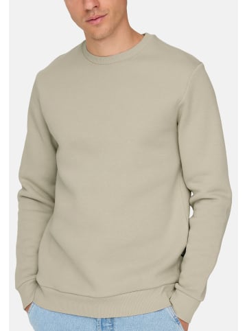 ONLY & SONS Sweatshirt Ceres in Schwarz / beige