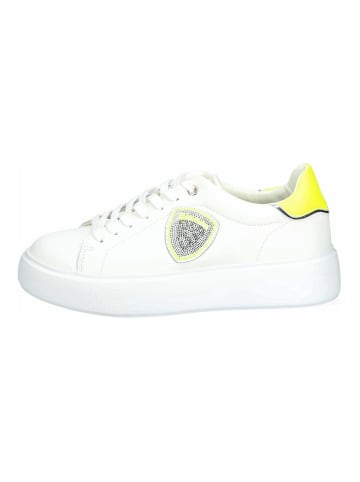 BLAUER USA Sneaker in Weiß/Gelb