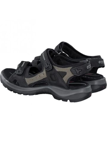 Ecco Sandalen in Schwarz