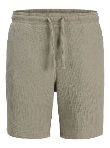 JACK & JONES PLUS Shorts in Seagrass