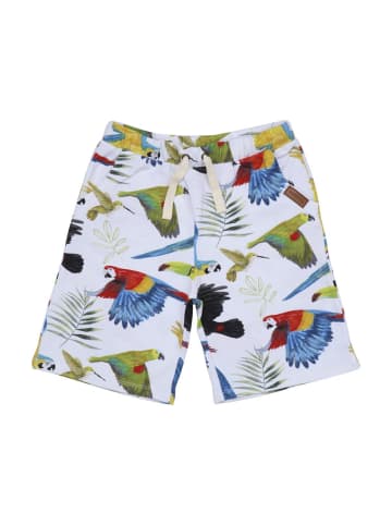 Walkiddy Shorts Shorts aus Baumwolle (Bio)