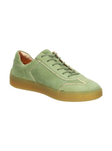 Think! Sneakers Low TURNA in Aloe/Kombi