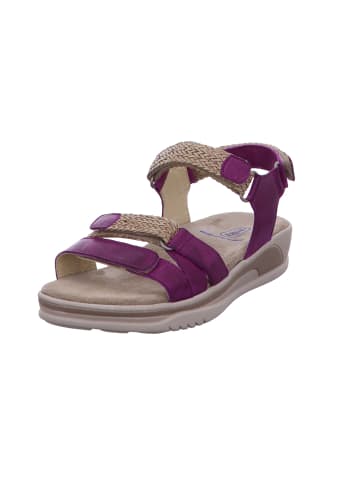 wolky Schnürschuh in rosa