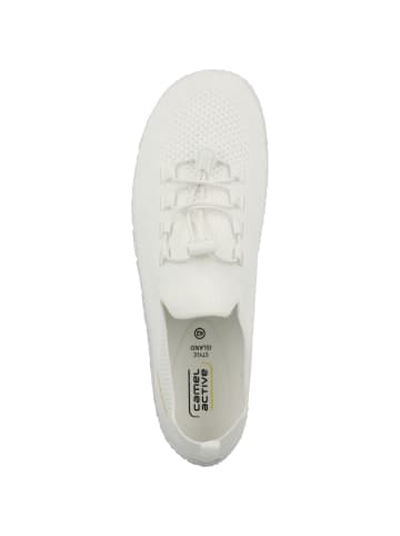 Camel Active Sneaker low 54ILN02 in weiss