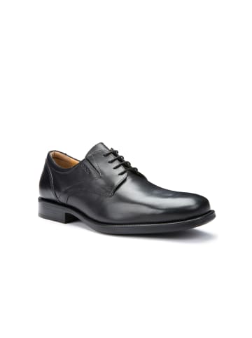 Geox Sneaker in schwarz