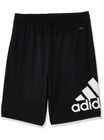 adidas Shorts für Jungen in kombi