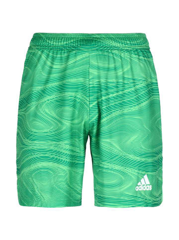 adidas Performance Torwarthose Condivo 21 Goalkeeper in grün