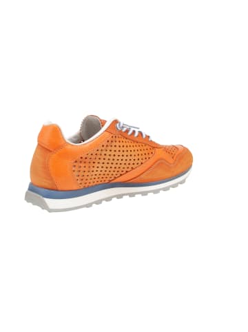 Cetti Sneaker low C-848 EXP V25 in Orange