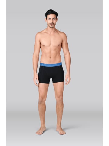 Muchachomalo 3er-Set: Boxershort in Mehrfarbig - für Herren