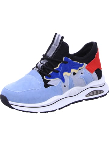 Scandi Schnürhalbschuh in blau