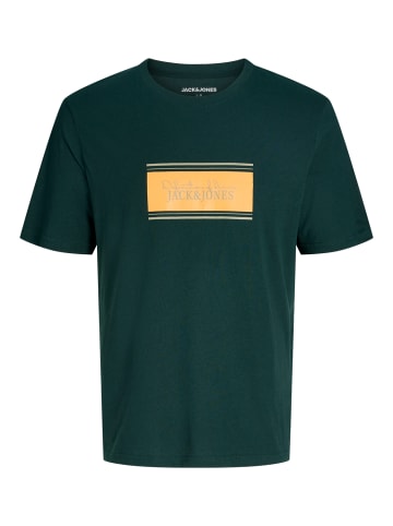 JACK & JONES Junior T-Shirt Jjbuster Basic in scarab