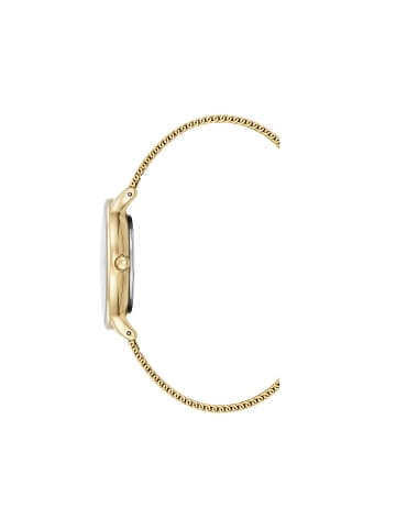 Kenneth Cole Quarzuhr KC15057006 in Gold