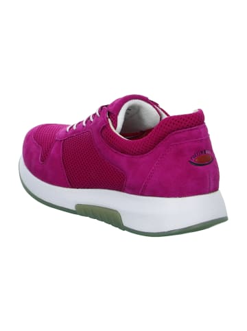 Gabor Comfort Sportliche Schnürschuhe in Pink