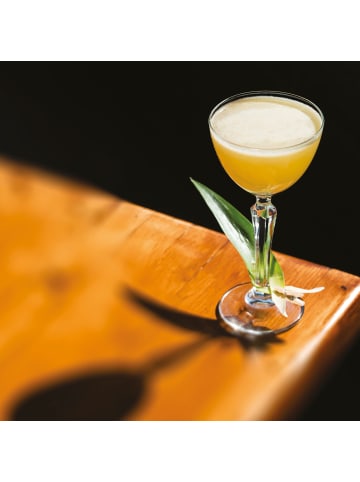 Libbey Nick and Nora SPEAKEASY 12er Set, Ø 8 cm, 141 ml, H: 16 cm, Glas