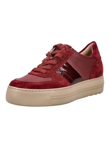 Paul Green Sneaker in Rot Lack