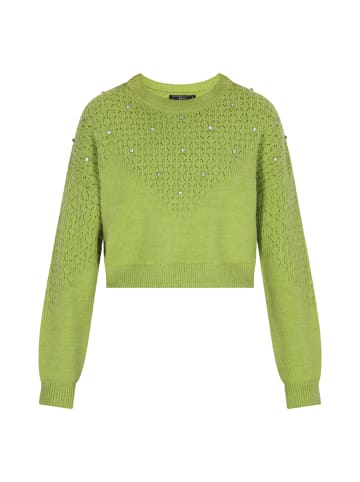 faina Pullover in Grün