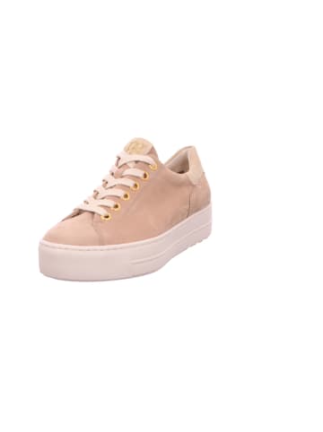 Paul Green Sneaker in beige