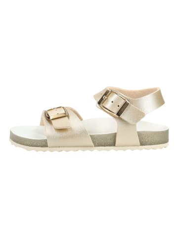 Geox Sandalen in Platinum