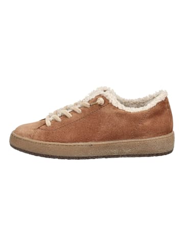 Paul Green Sneaker in Nut
