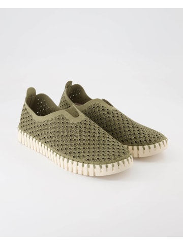 Ilse Jacobsen Slipper in Grün