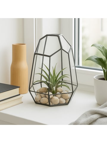 relaxdays Pflanzenterrarium "geometrisch" in Schwarz - (B)17 x (H)25 x (T)15 cm