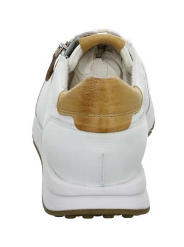 Paul Green Sneaker in weiß