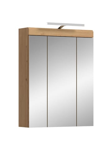 ebuy24 Spiegelschrank Scout Staubgrün 60 x 18 cm
