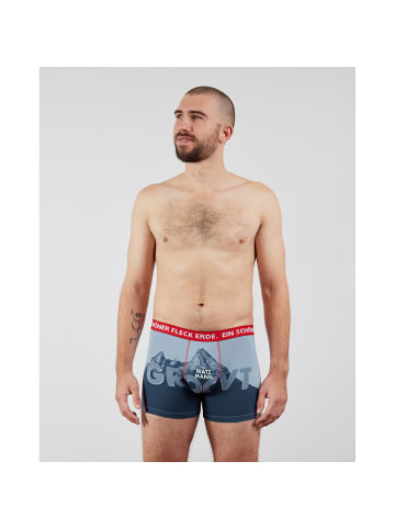 EIN SCHÖNER FLECK ERDE M DERWATZMANN GROOVT BOXER in Blau