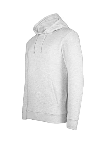 Only&Sons Hoodie 'CHASE' in grau