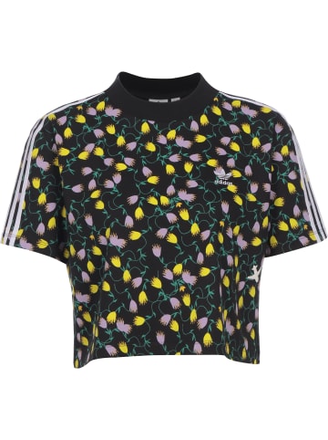 adidas Cropped T-Shirts in multicolor