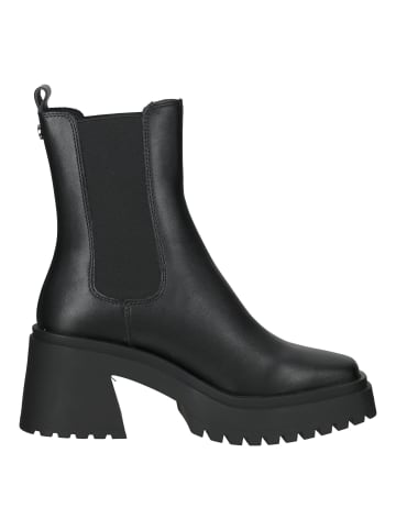 Steve Madden Stiefelette in Schwarz