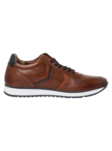 Marco Tozzi BY GUIDO MARIA KRETSCHMER Sneaker in COGNAC COMB