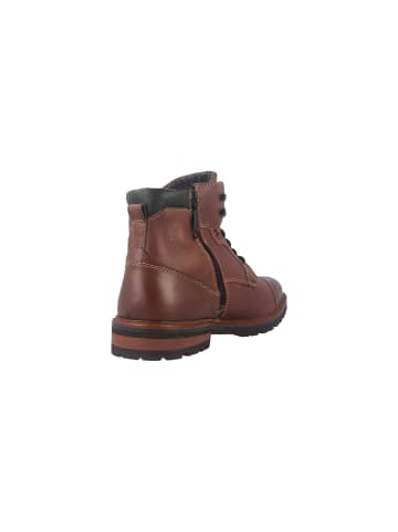 Fretz Men Boots in Braun