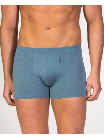 ZD ZERO DEFECTS Boxer "Apolo" in Blau