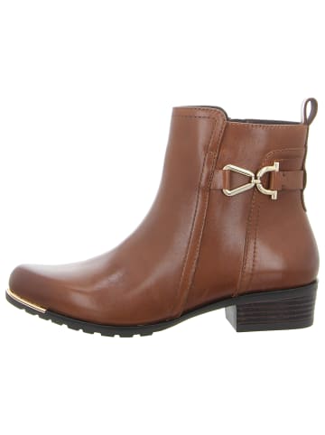 Caprice Klassische Stiefelette in braun