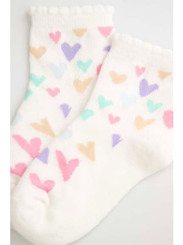 Coccodrillo Socken in bunt