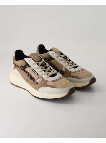 Floris van Bommel Sneaker low in Beige