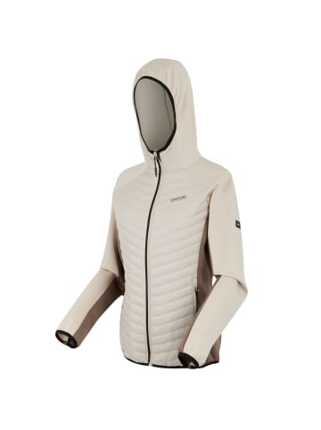 Regatta Andreson Hybrid Softshelljacke in Crem