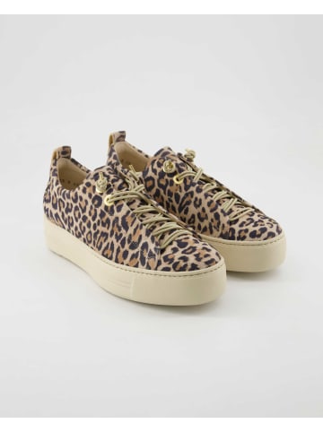 Paul Green Sneaker low in Braun