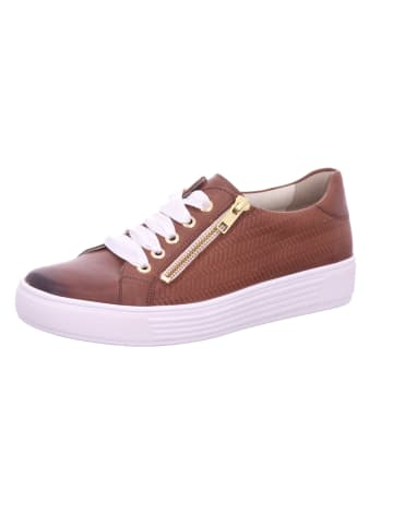 Solidus Sneaker in braun