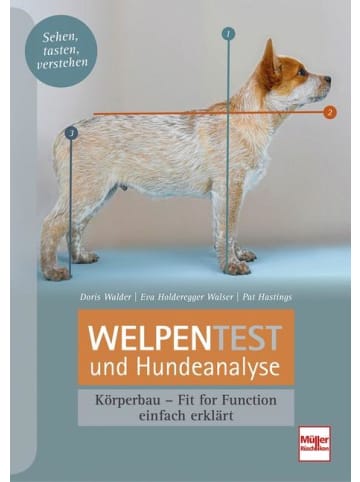 Müller Rüschlikon Welpentest und Hundeanalyse