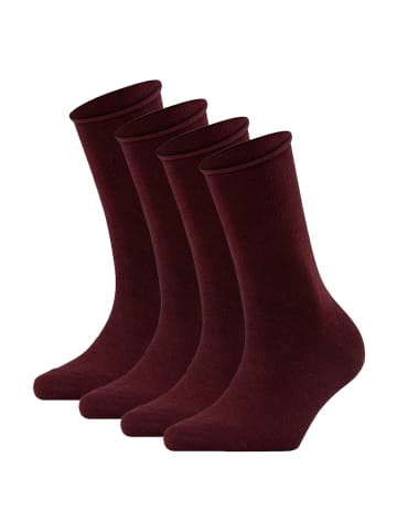 Falke Socken 4er Pack in Dunkelrot