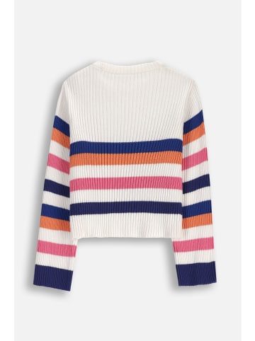 Coccodrillo Strickpullover in bunt