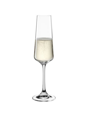 LEONARDO Sektglas 220ml PALADINO 6er-Set