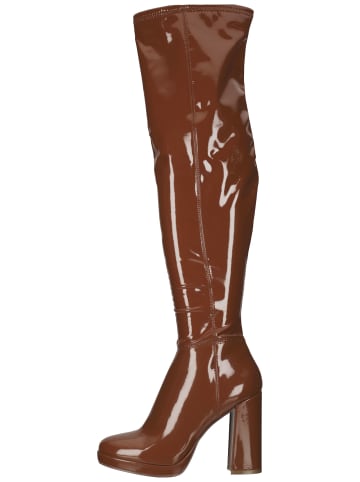 Steve Madden Stiefel in Cognac