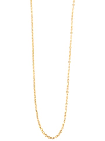Adeliás Unisex Halskette – Ankerkette aus Edelstahl 45 cm in gold
