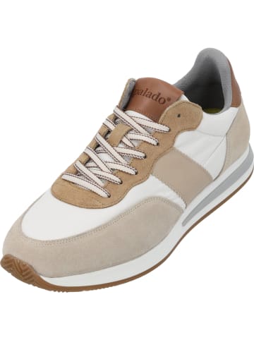 palado Sneakers Low in Beige