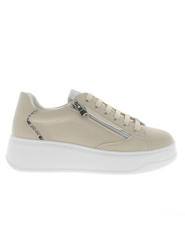 Armata di Mare Sneaker AMDS61H23-WHTGROCKSILVER Beige