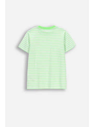 Coccodrillo Gestreiftes T-Shirt mit kurzen Ärmeln in grün