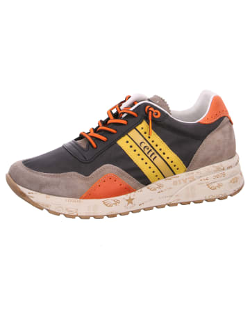 Cetti Sneaker  in Mehrfarbig